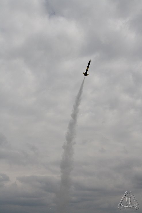 2013 Svojek Mirek Topinka